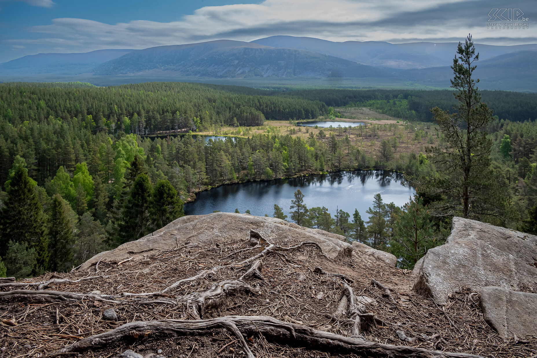 Glenmore Forest Park - Uath Lochans Glenmore Forest Park lies within Cairngorms National Park. It's a great place where you can see old forests and beautiful lochs. Stefan Cruysberghs